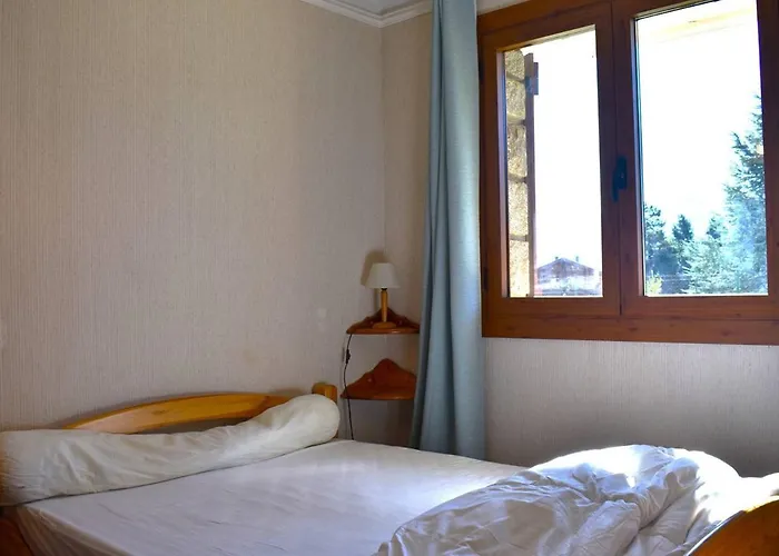 Appartamento T2 Avec Terrasse, Tennis, Animaux Acceptés, 6 Pers., Font-romeu - Fr-1-580-6